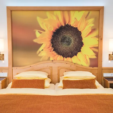 Cesta Grand Aktivhotel&spa Hotel 4*