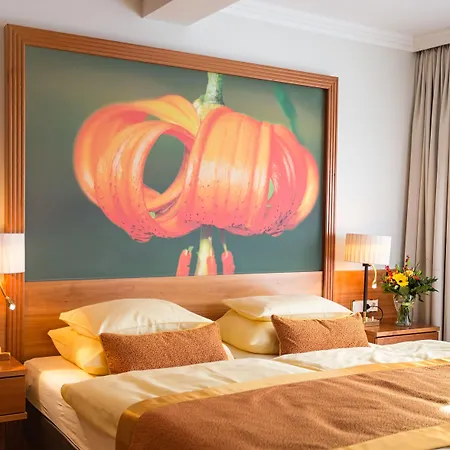 Otel Europaeischer Hof 4*