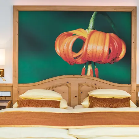Europaeischer Hof 4* Бадгаштейн