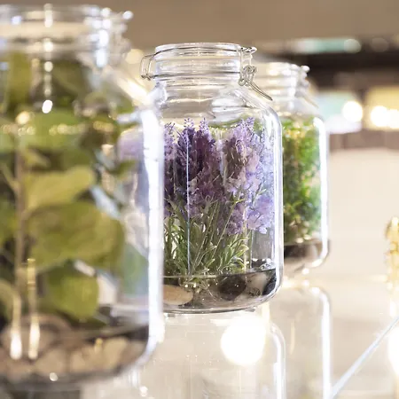 Hotel Europaeischer Hof